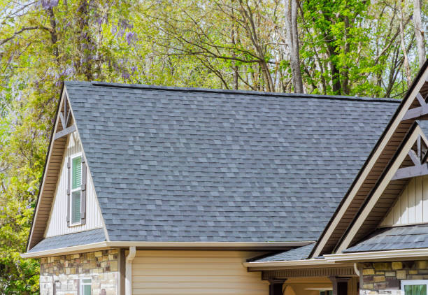 Best Roof Leak Repair  in Panhandle, TX